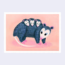 Illustration on solid pink background of an opossum, walking with 3 baby opossums on its back.
