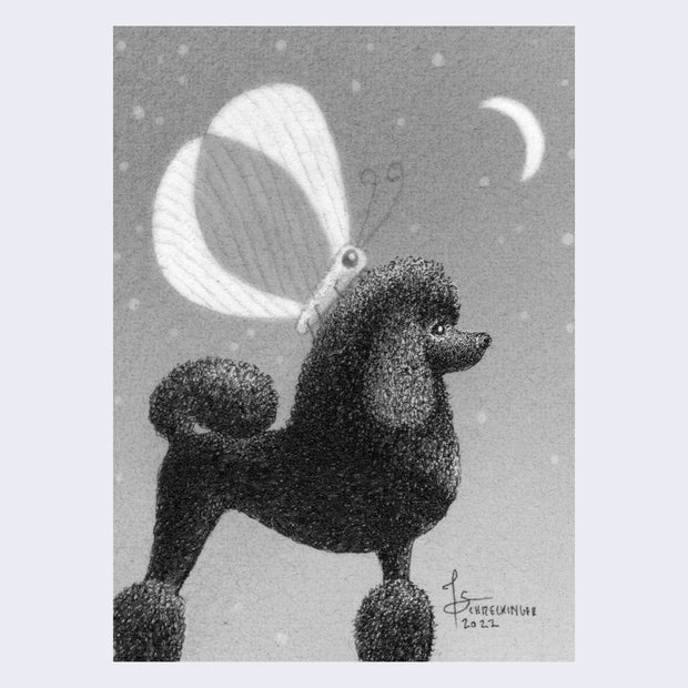 Juliet Schreckinger - "Minky the Moth and Her Poodle"