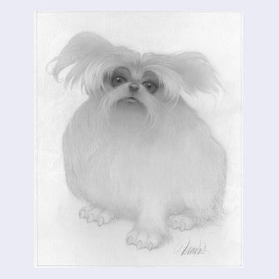 Rakugaki 4 - Travis Louie - "Puppy"