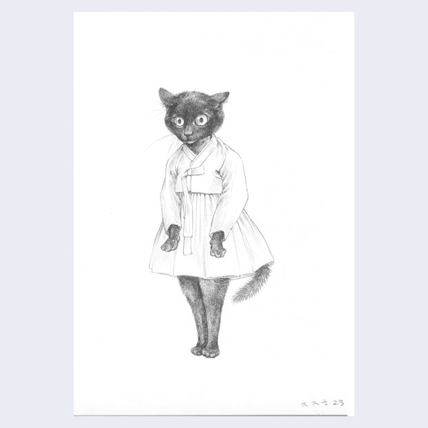 Pencil illustration of a black cat, standing on 2 legs like a human and wearing a dress.
