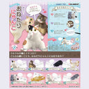 Re-ment Message Cat Mini Figure Blind Box