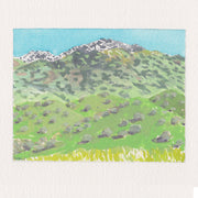 Plein air painting of a lush green mountain with many bushes and rocks on it and snow at the very top.