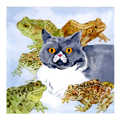 Watercolor illustration of a grey fluffy cat with a white belly and yellow eyes, looking straight on. Around it, there are 5 finely rendered toads, some green and some brown.