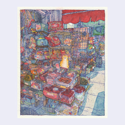 Finely detailed watercolor and ink drawing of an orange tabby cat sitting behind the counter of an outdoor shop stall. There are many containers and shelves with various food and packaging.
