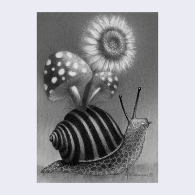 A finely detailed illustration of a snail with a patterned body and striped shell. Blooming out from its shell are two large polka dot mushrooms and a sunflower. Illustration is greyscale and maintains a slightly fuzzy visual feature around the flora.