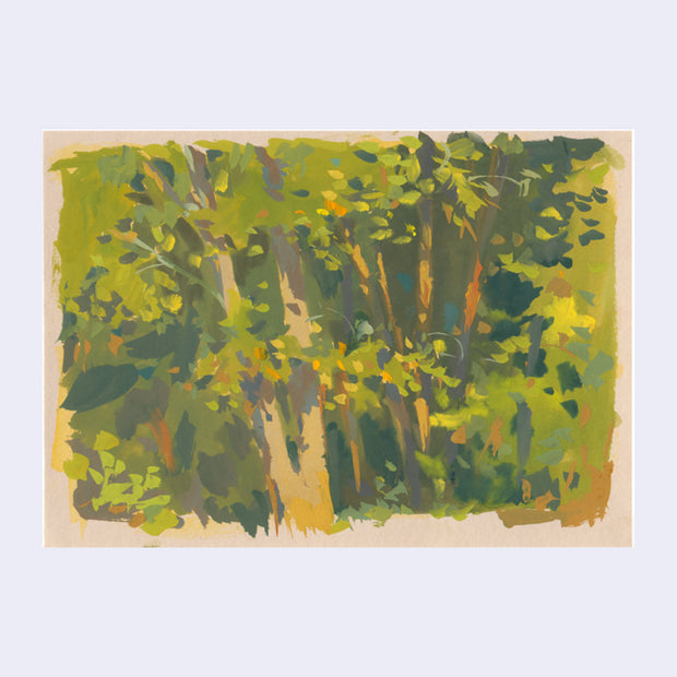 Plein air painting of multiple trees, getting hit by a warm yellow sunlight.
