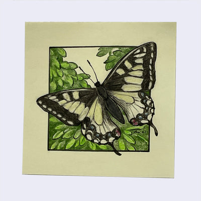 Post-it Show 2021 - Louise Jones - "Swallowtail"