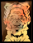 Ryohei Tanaka - Mr. Square