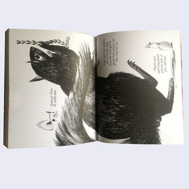 Open two page book spread of a large illustrated black squirrel, with accompanying text running vertically along the side.