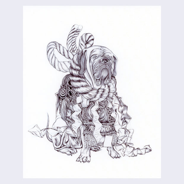 Finely rendered graphite drawing of a large dog with a droopy face. It is covered in ceremonial wear, lots of knotted ropes, folded paper and fabric.