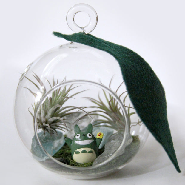 Totoro Air Plant Small Terrarium (Assorted)