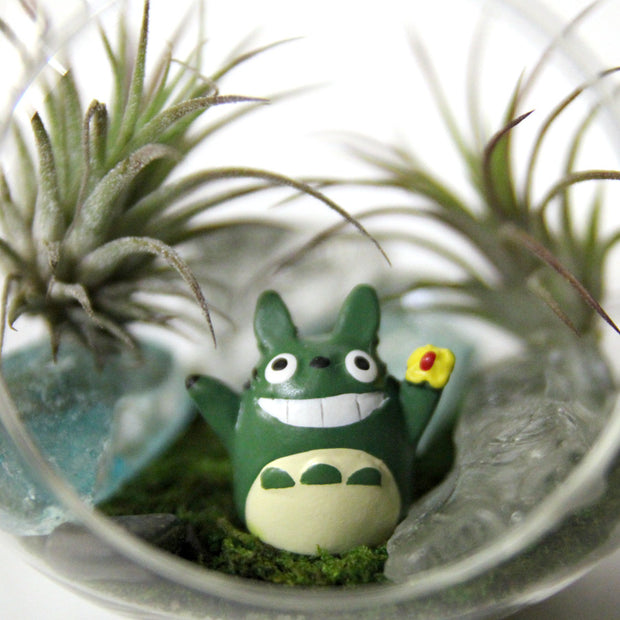 Totoro Air Plant Small Terrarium (Assorted)