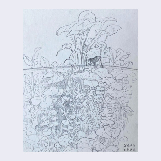Rakugaki 4 - Sean Chao - "Water Scenery No. 4"