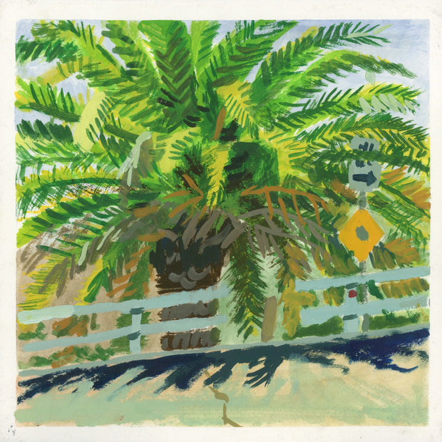 Plein air painting of a large green palm tree, fenced in by a short white wooden fence.