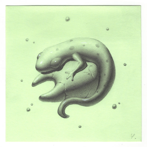 Post-it Show 2021 - Yumi Yamazaki - Post-it #04 (Salamander)